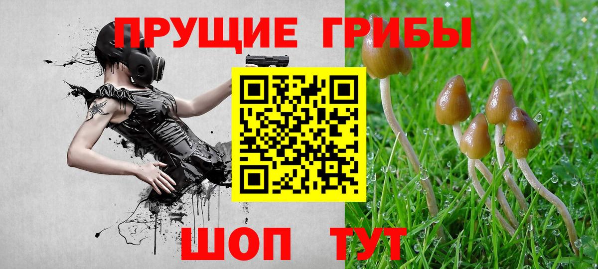 Псилоцибиновые грибы MAGIC MUSHROOMS  Галлюциногенные грибы мухоморы  Учалы  Вход с VPN 