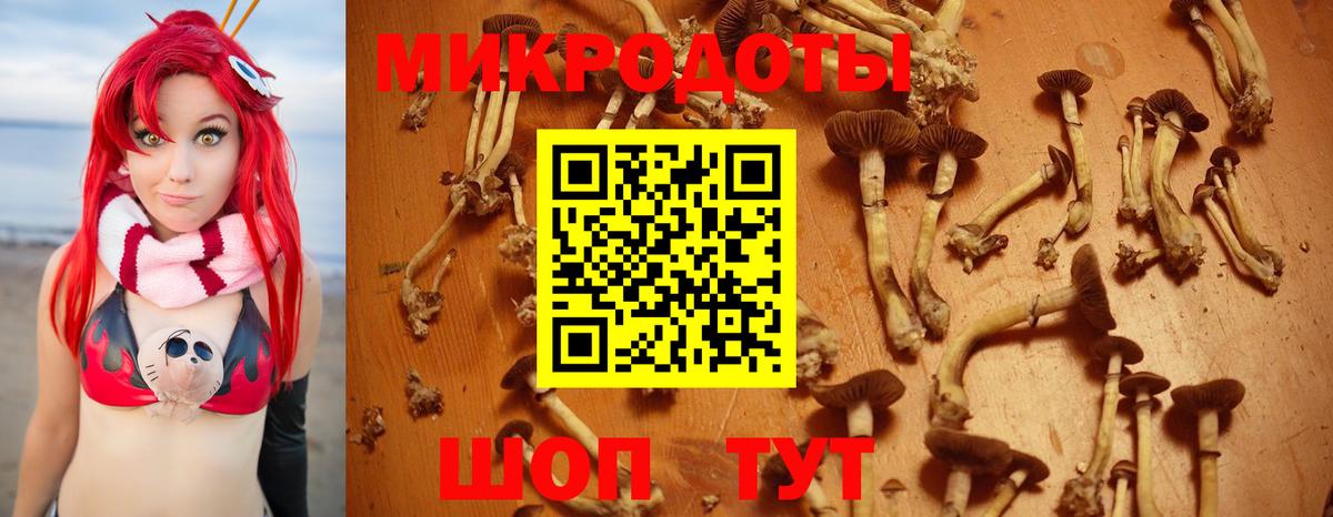 Галлюциногенные грибы MAGIC MUSHROOMS Учалы